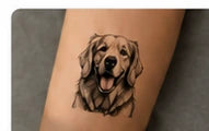 The same pet design developed on skin after 48 hours