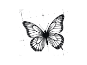 Fine line butterfly design