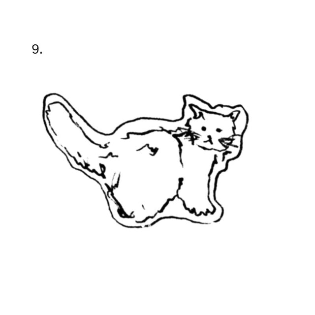 A fluffy long-tailed cat stands in side view and turns its head toward the viewer.