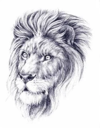 Wild Spirit Ink Temporary Tattoo Set