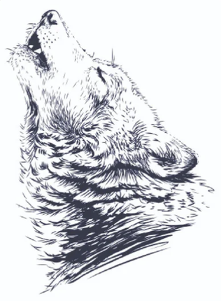 Wild Spirit Ink Temporary Tattoo Set