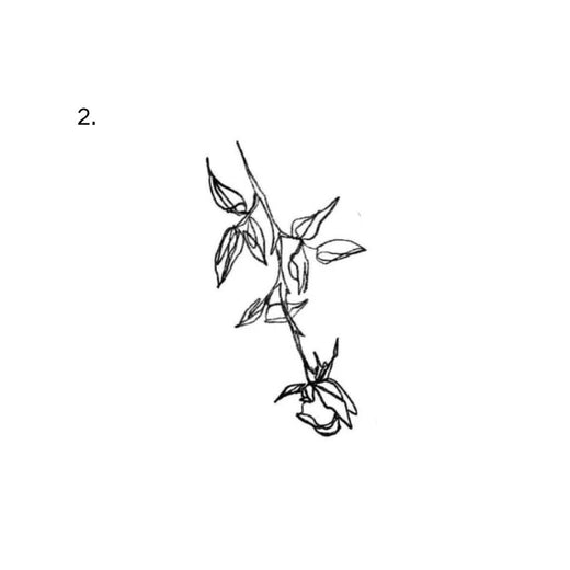 A rose hangs downward from a long curved stem with several leaves.