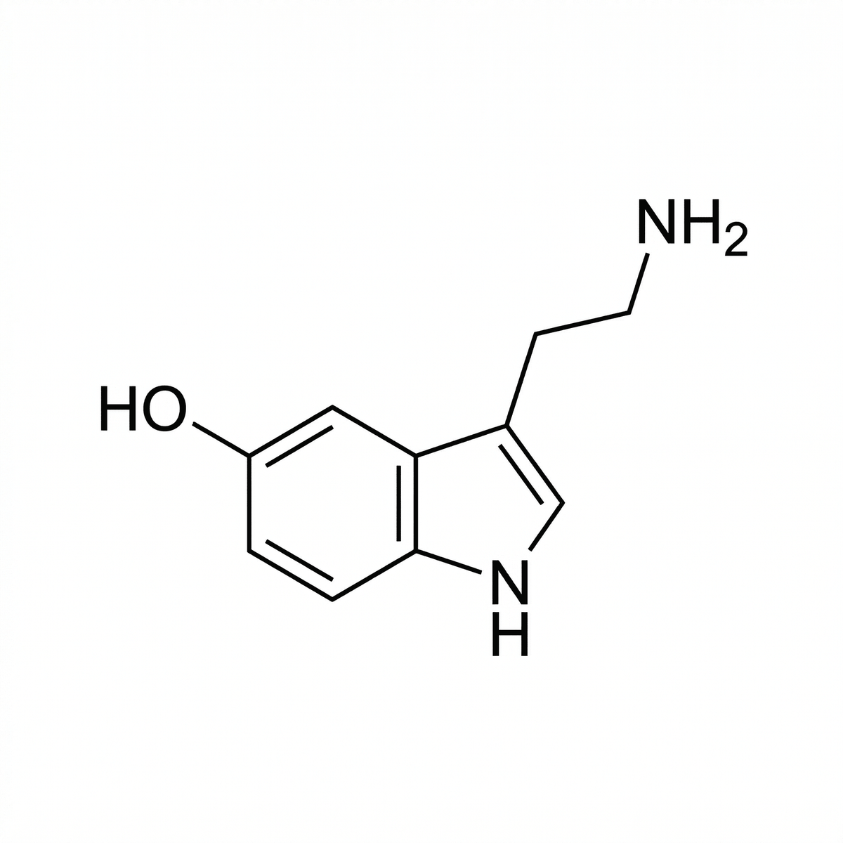 Illustrative chemical formula temporary tattoo design