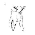 3X3CM / 4 Meadow Lamb