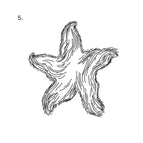 3X3CM / 5 Woven Star