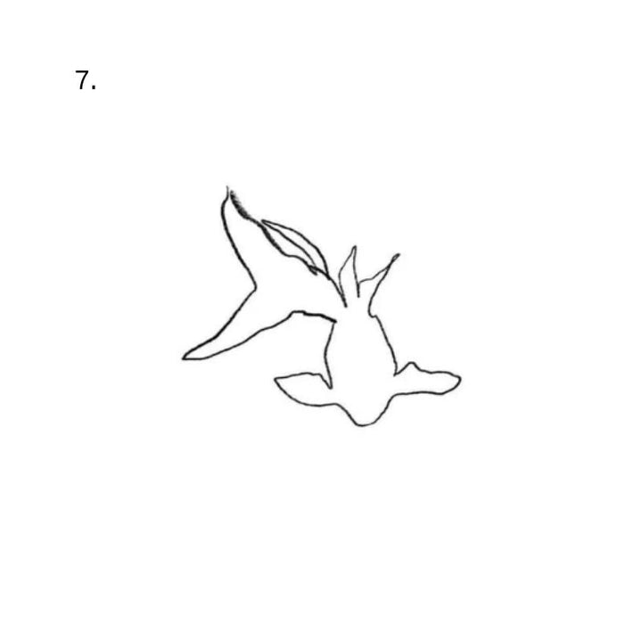 Sketch star temporary tattoo design