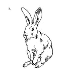 3X3CM / 7 Quiet Observer