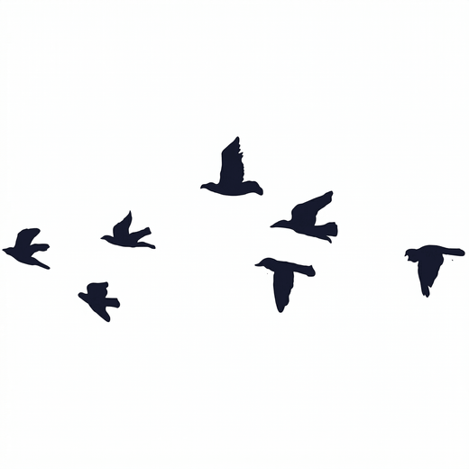 Seven dark bird silhouettes are scattered across the design in different directions and wing positions.