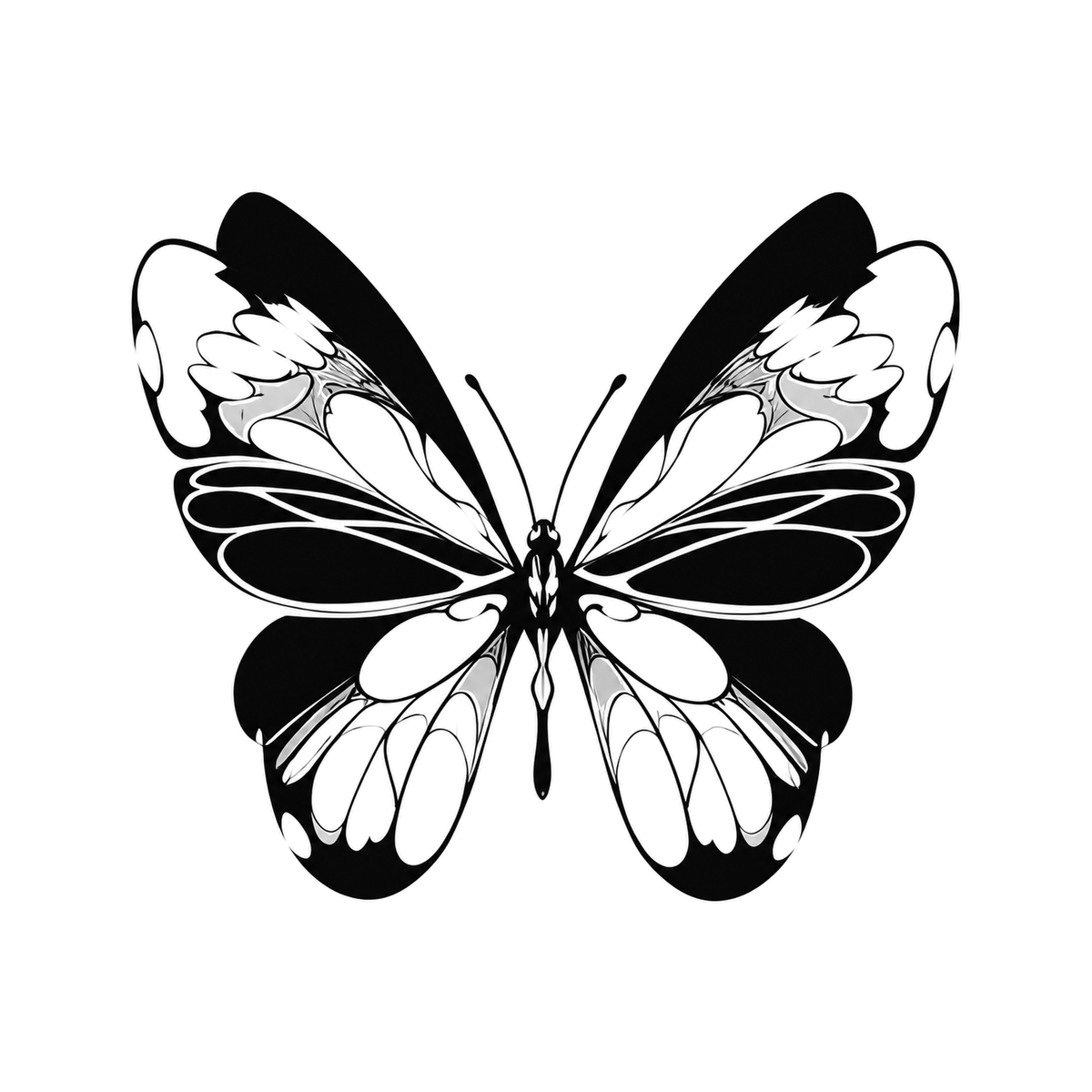 A forward-facing butterfly shows two mirrored pairs of patterned wings, a segmented body, and two fine antennae.