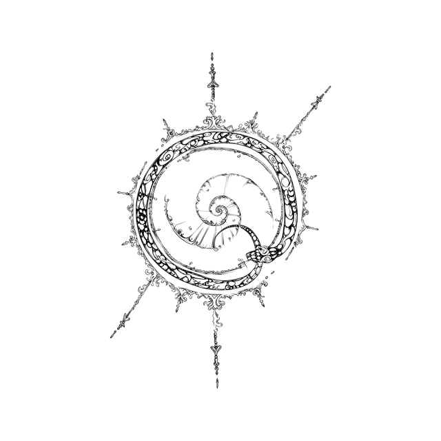 The image shows ornamental nautilus compass in a radial arrangement, with compass and spiral clearly defining the visible design.