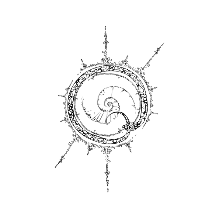The image shows ornamental nautilus compass in a radial arrangement, with compass and spiral clearly defining the visible design.
