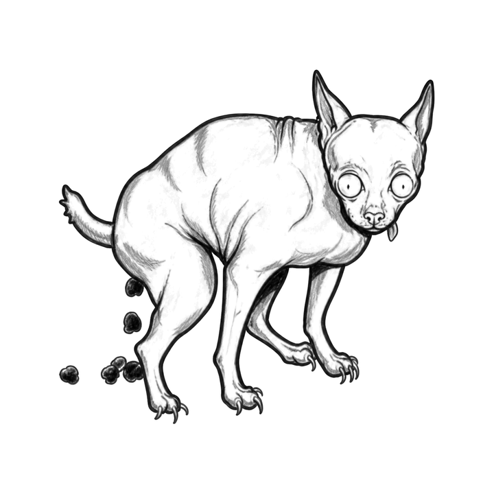 The image shows defecating sphynx cat in a horizontal arrangement, with cat clearly defining the visible design.