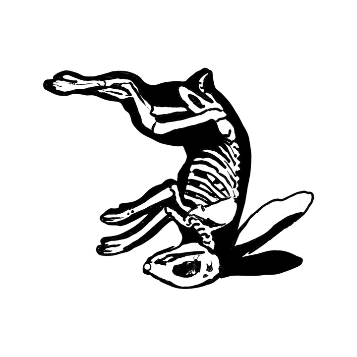 The image shows inverted skeletal hare in a diagonal arrangement, with rabbit and skeleton clearly defining the visible design.