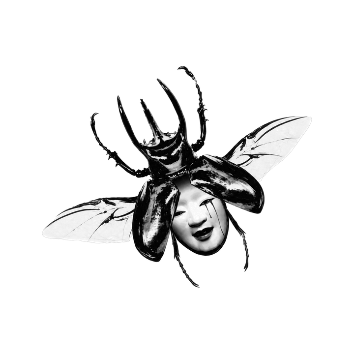 The image shows beetle woman face hybrid in a symmetrical arrangement, with beetle and wings clearly defining the visible design.