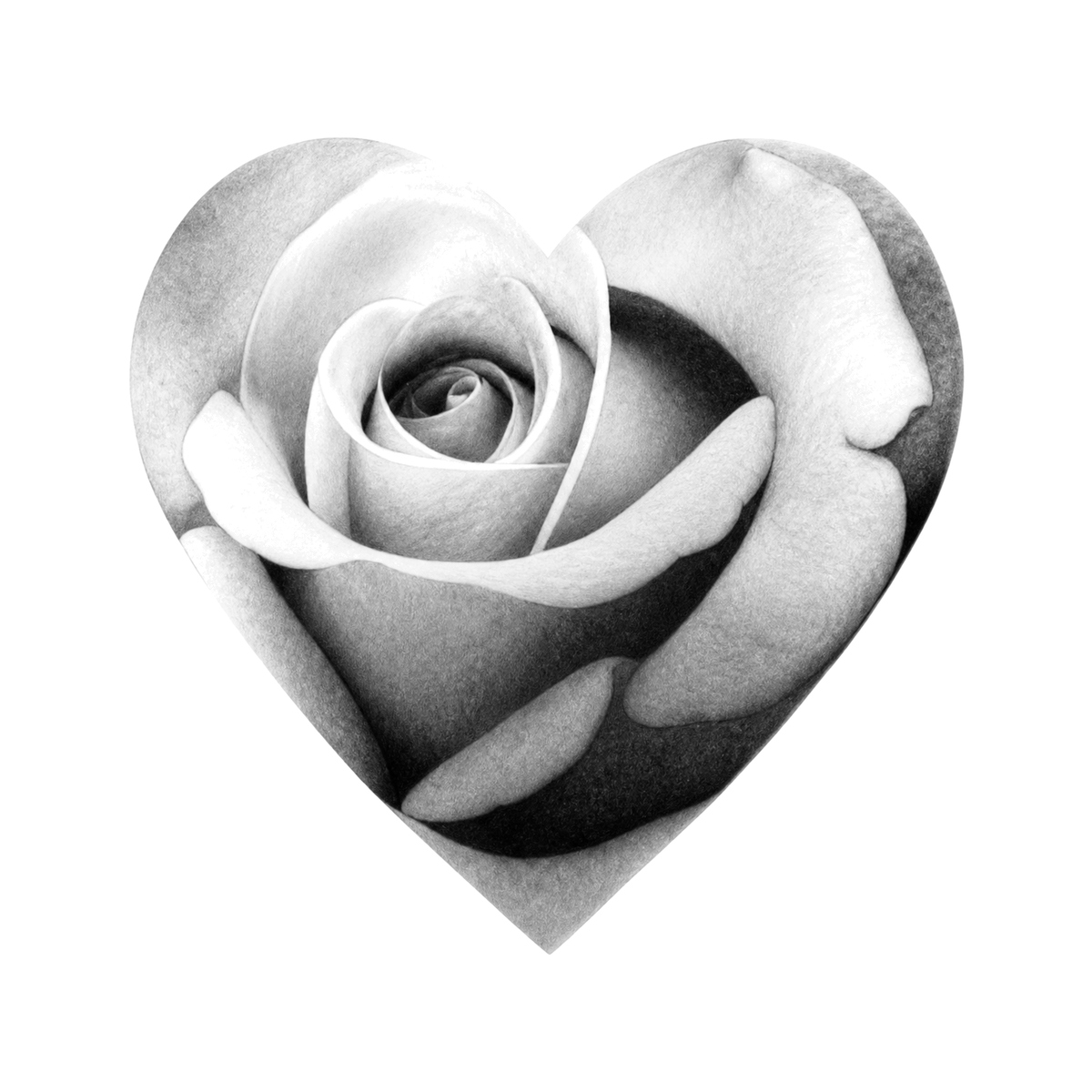 The image shows rose-shaped heart in a centered arrangement, with rose and heart clearly defining the visible design.
