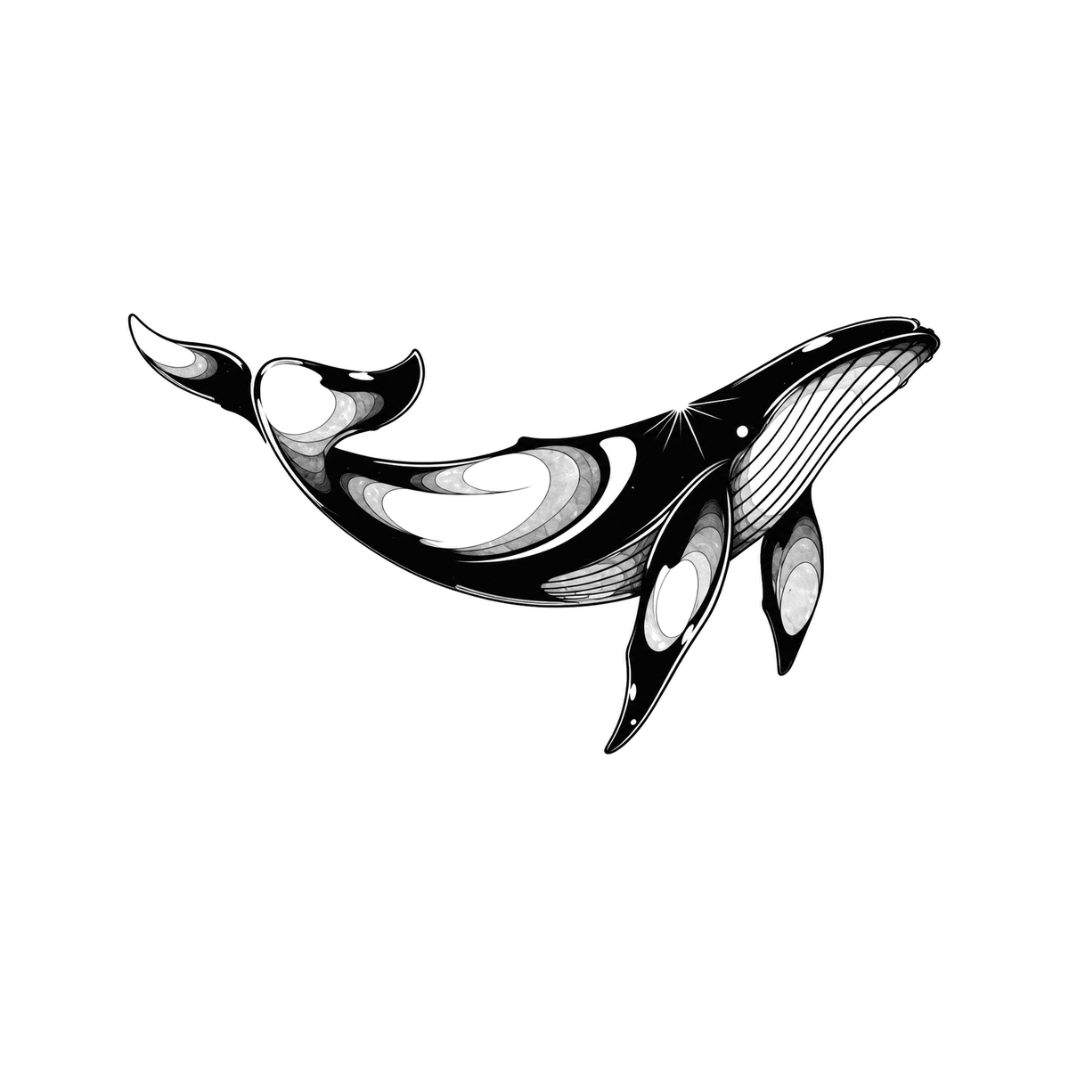 A humpback whale swims horizontally with long pectoral flippers, throat pleats, tail flukes, and glossy star-like markings.