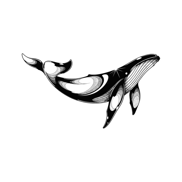 A humpback whale swims horizontally with long pectoral flippers, throat pleats, tail flukes, and glossy star-like markings.