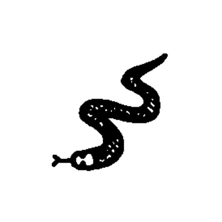 Minimal snake temporary tattoo design