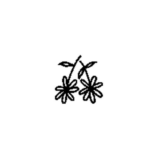 A pair of daisy earrings hangs from crossed hooks, with two multi-petal flowers and small leaves below.
