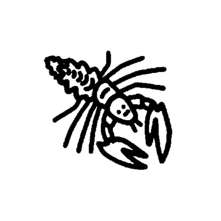 A side-view lobster has a segmented tail at upper left, long antennae extending right and two large front claws.