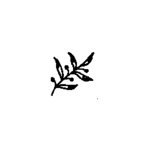 A slender curved sprig carries five pointed leaves along with several small round buds.