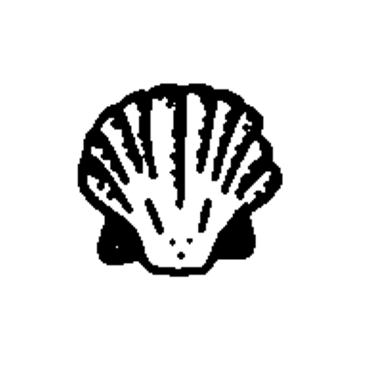 Minimal seashell temporary tattoo design