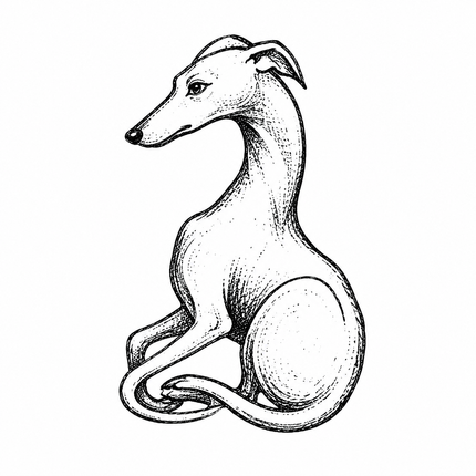 Elegant Sighthound Temporary Tattoo - JUST PRESS product image