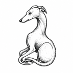 Elegant Sighthound / 3×3cm