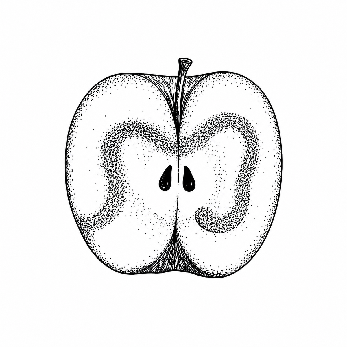 A vertically halved apple shows its core and two dark seeds, with the apple stem extending from the top center.