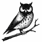 Perched Owl / 3×3cm
