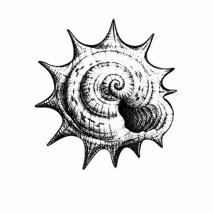 Spiral Shell Temporary Tattoo - JUST PRESS product image