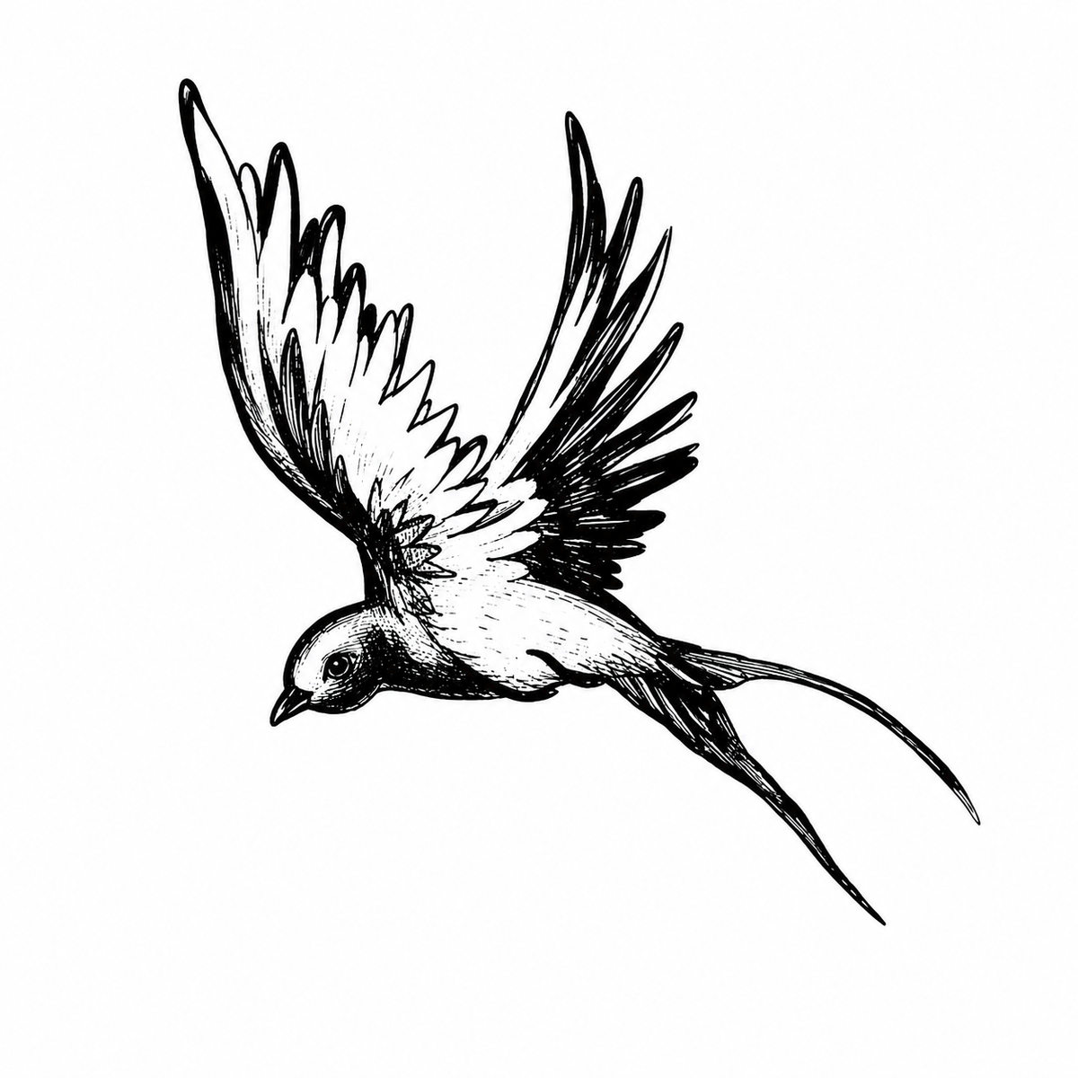 A swallow dives toward the lower left with both wings spread wide and its long forked tail trailing to the right.