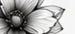 Fine details remain visible